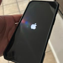 iPhone 16 Max Pro 256