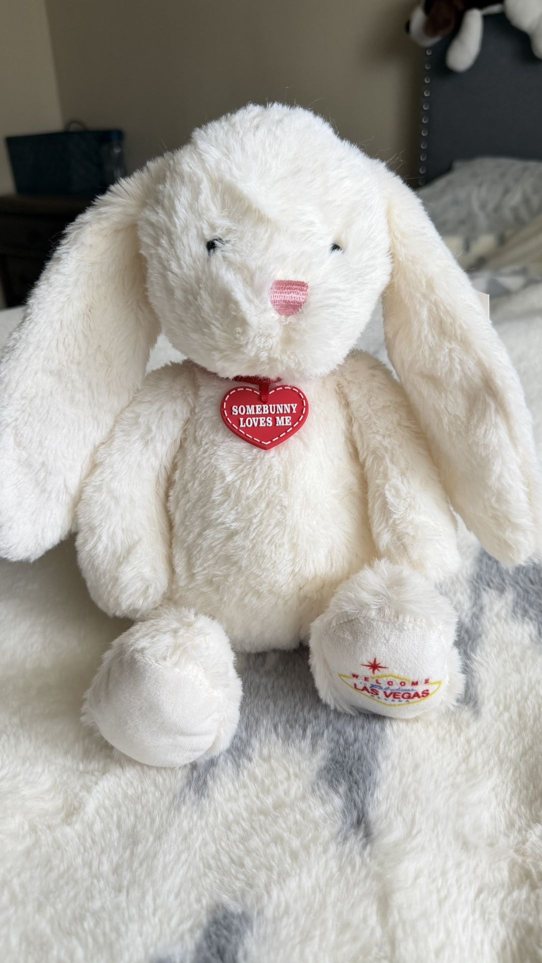 Brand new plush bunny – Las Vegas souvenir 🐰