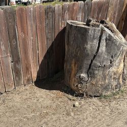 Free Tree Stump