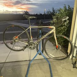 cannondale gumtree