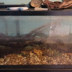 Fish Tank