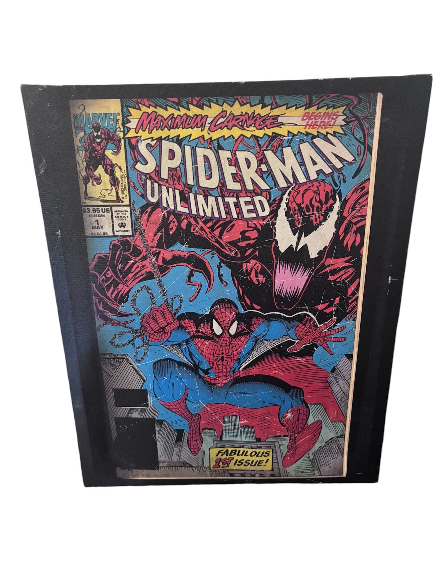 Spider-Man Canvas Framed Picture