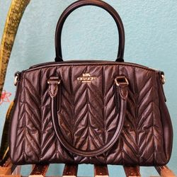 Coach Mini Sage Carryall F30650