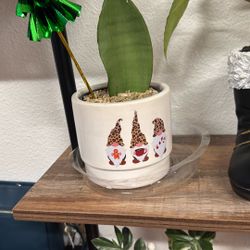 Gnome Christmas Plant Decor
