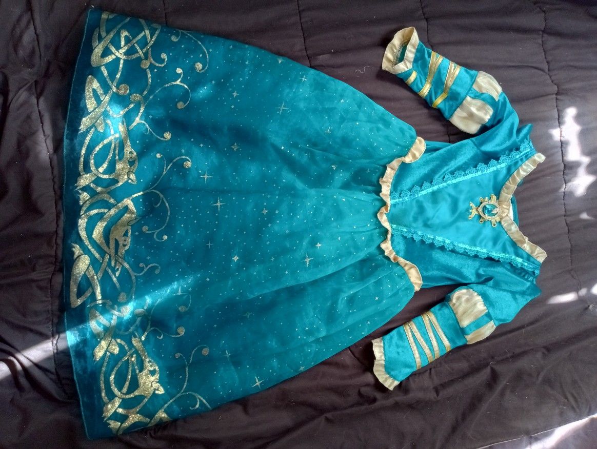 Disney Princess Dress!!