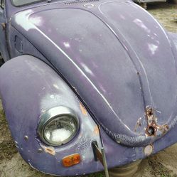 Volkswagen 1968 Parts