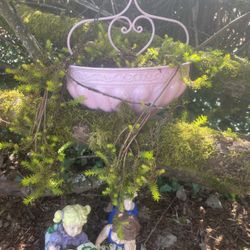 Hanging Succulent Planter