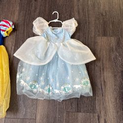 Cinderella Costume