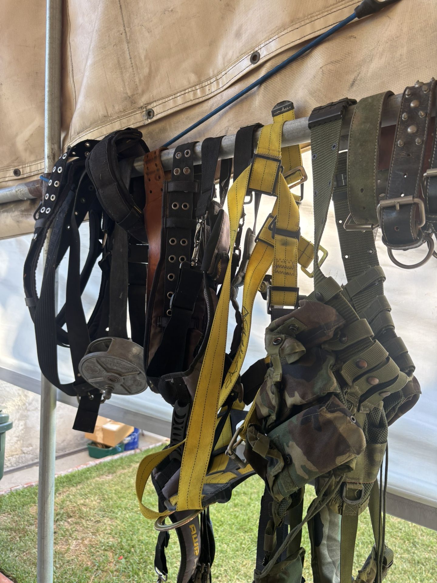 Belts And Harness 