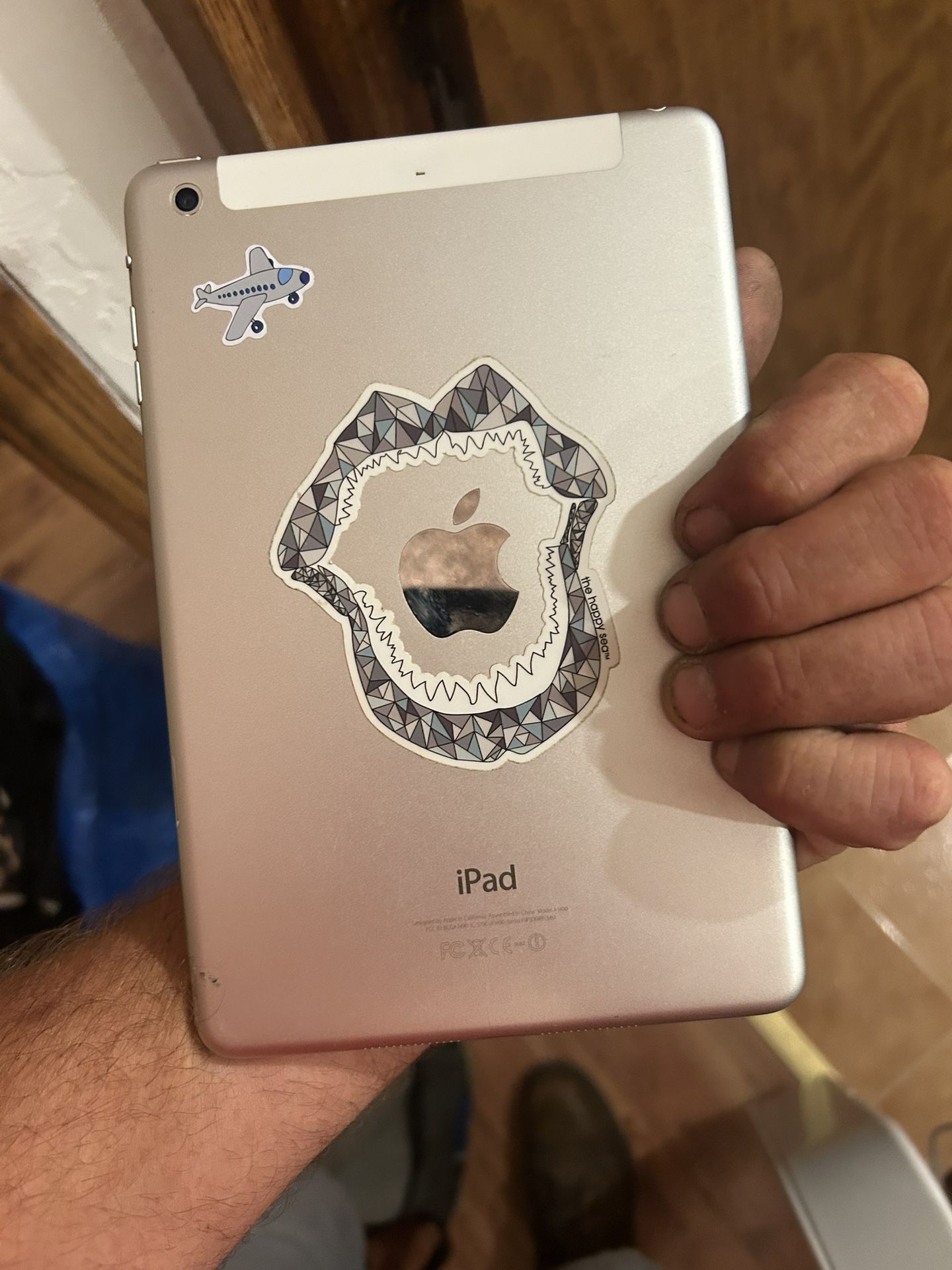 iPad Mini