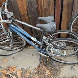 Bikes For Sale Need Tlc 