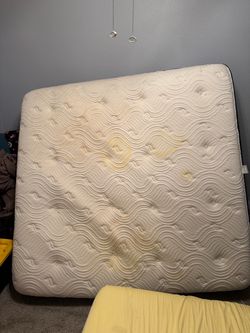 Big Fig King Mattress