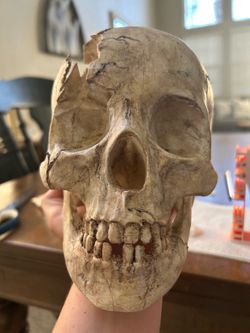 Halloween skull