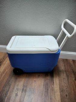 36 quart igloo cooler