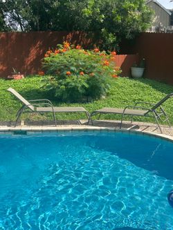 2 Lounge chairs for price