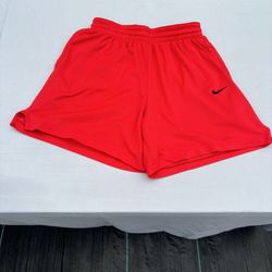 Mens Nike Mesh Shorts