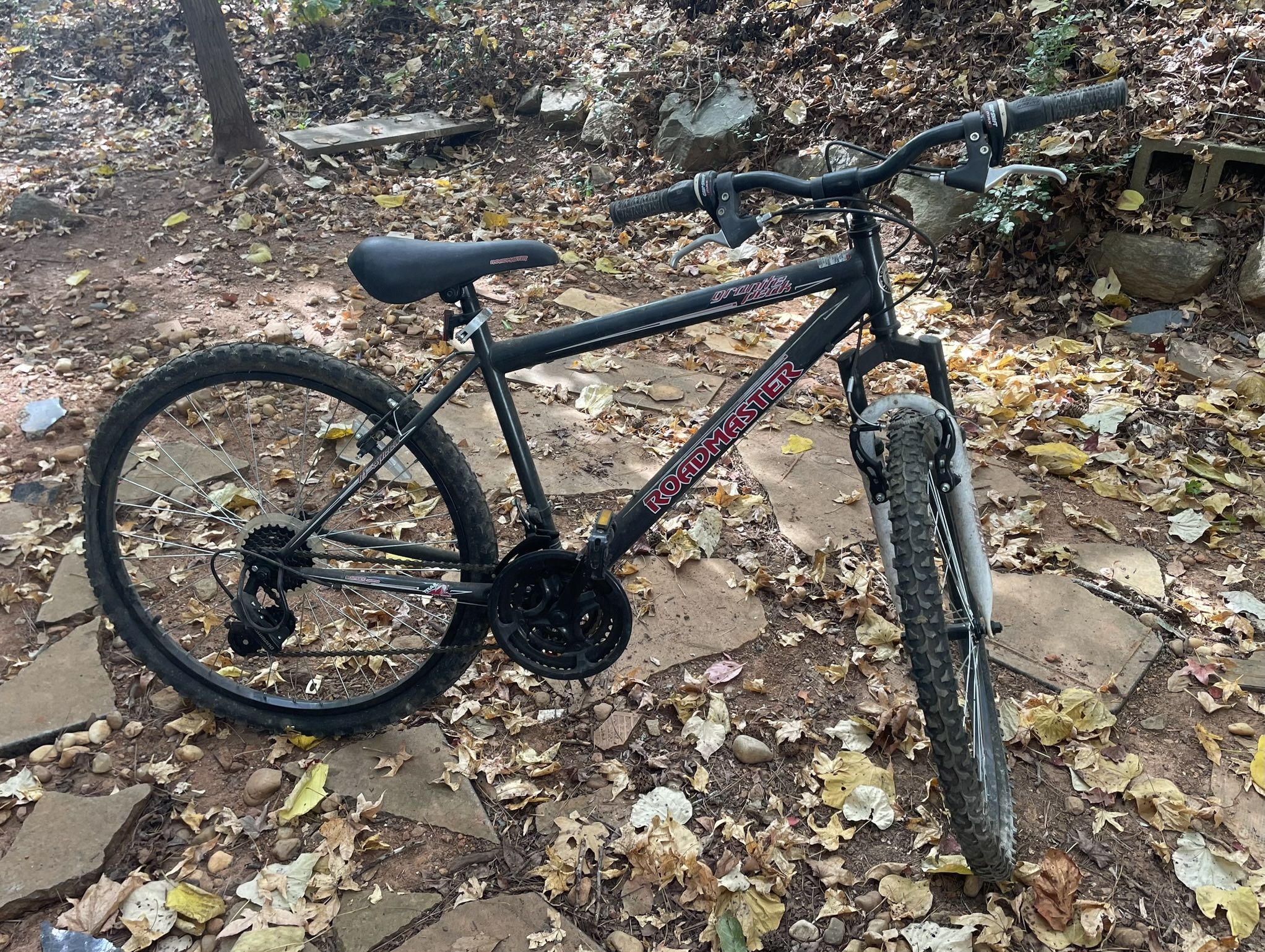 Mountain Bike