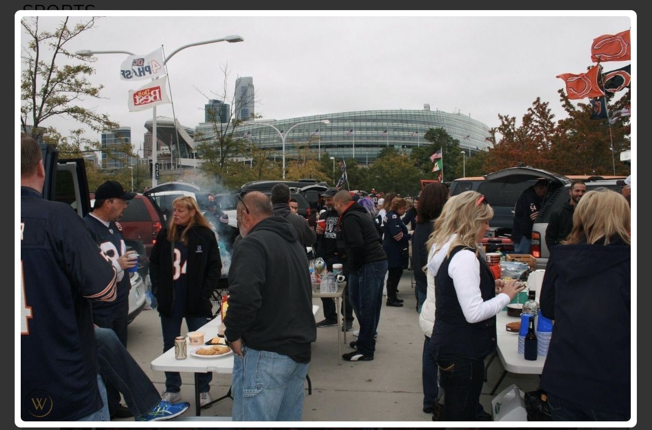 Bears Vs Lions