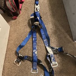 Safety Harness 