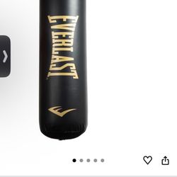 Élite Everlast Punching bag 