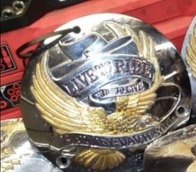 Harley-Davidson Born Free Derby Cover