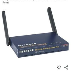 Net gear Dual Access Point