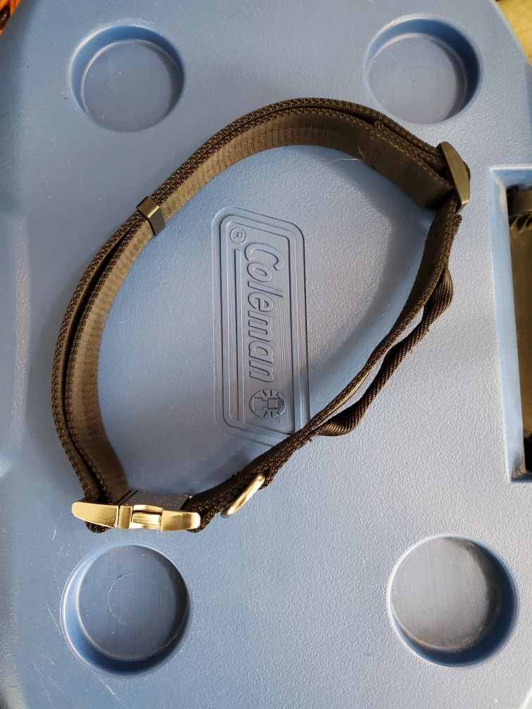 Brand New Dog Collar.