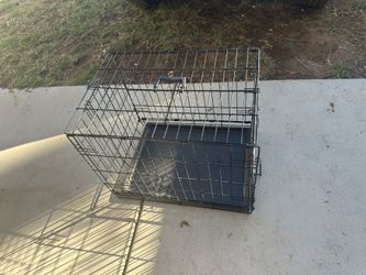 Dog Cagy (medium)