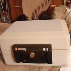 Sentry Safe Large Lock Box