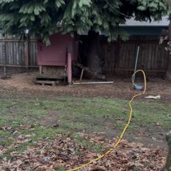 Chicken Coop And Mini Storage 