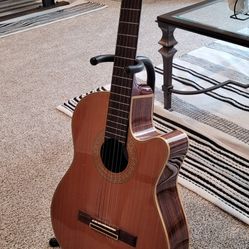 Acoustic/Electric guitar