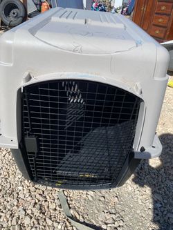 Dog Kennel