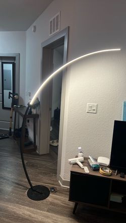 Modern Curved LED Floor Lamp
