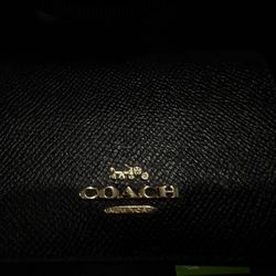 coach mini wallet on crossbody chain