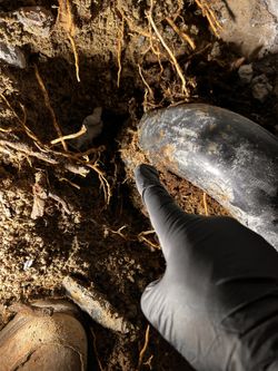 Drain Inspection 