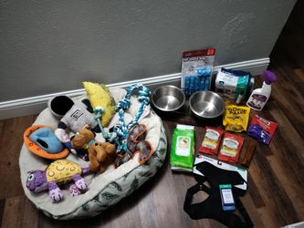 Dog supplies bundle