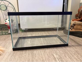 20 Gallon Tank