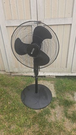 FAN