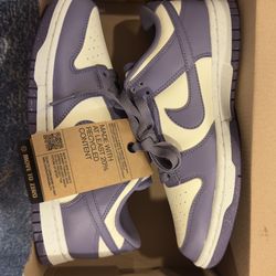 NIKE Women's Nile Dunk low Next Nature, Size 7 Brand New with tags and Shoes Box