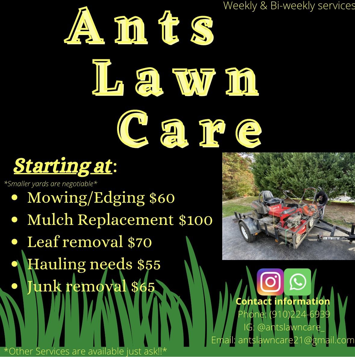 Ants Lawn Care