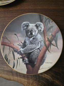 Charles Frace Koala Decorative Plate 