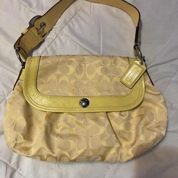 Coach And D&G Bags