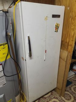 Stand up Freezer