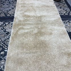 Bathroom Rugs