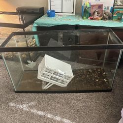 40 gallon tank for fish or baby * turtle 