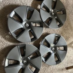 Tesla Oem Hub Cap 18 Inch