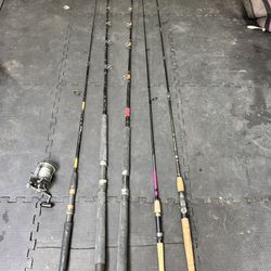Fishing Rods / Reel