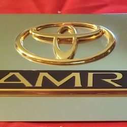CAMRY STAINLESS STEEL LICENSE PLATE 