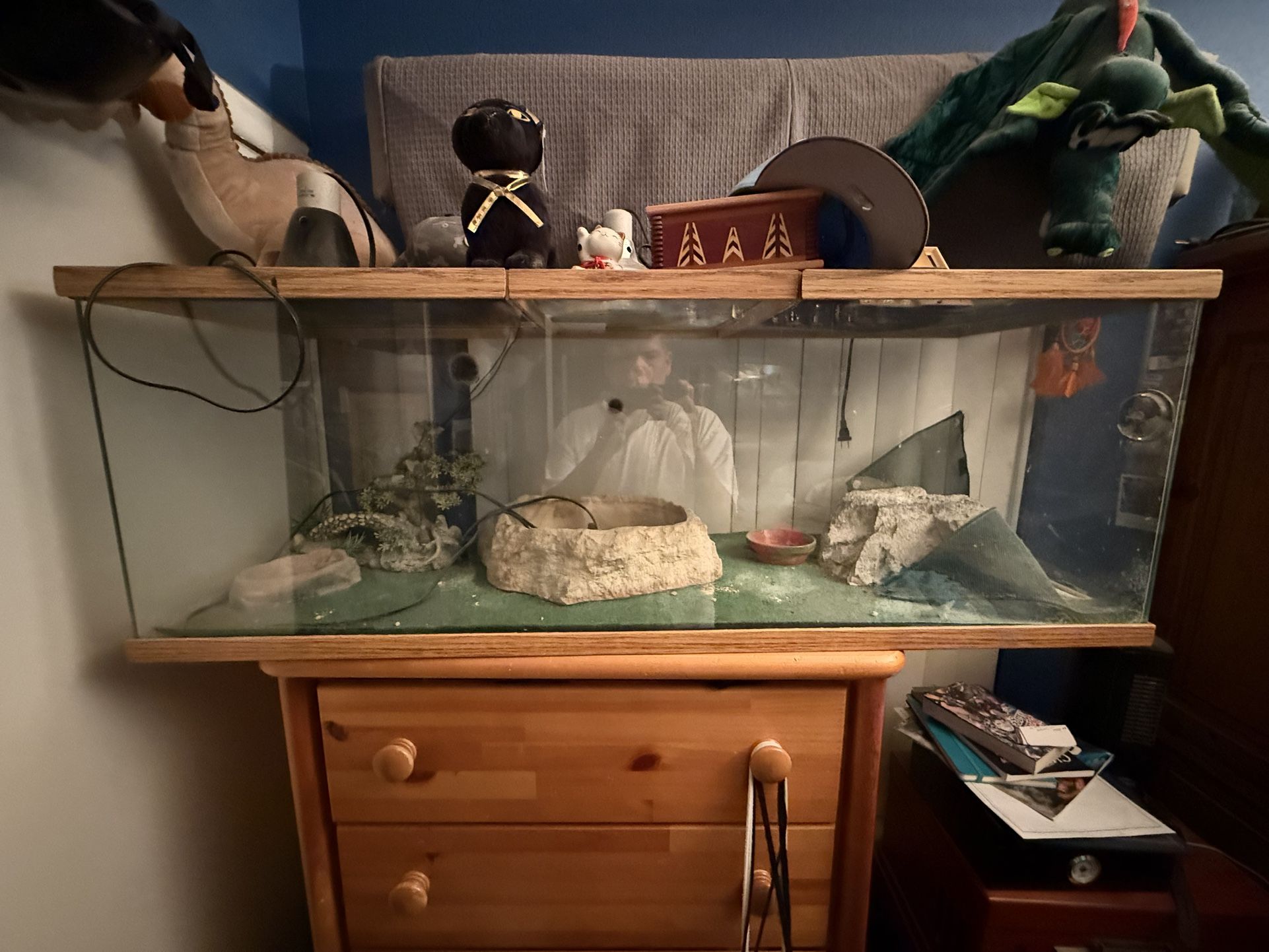 Reptile Tank Full setup