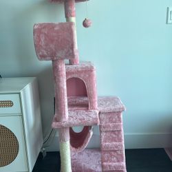 cat tree